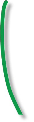 stem 4