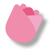 pink tulip