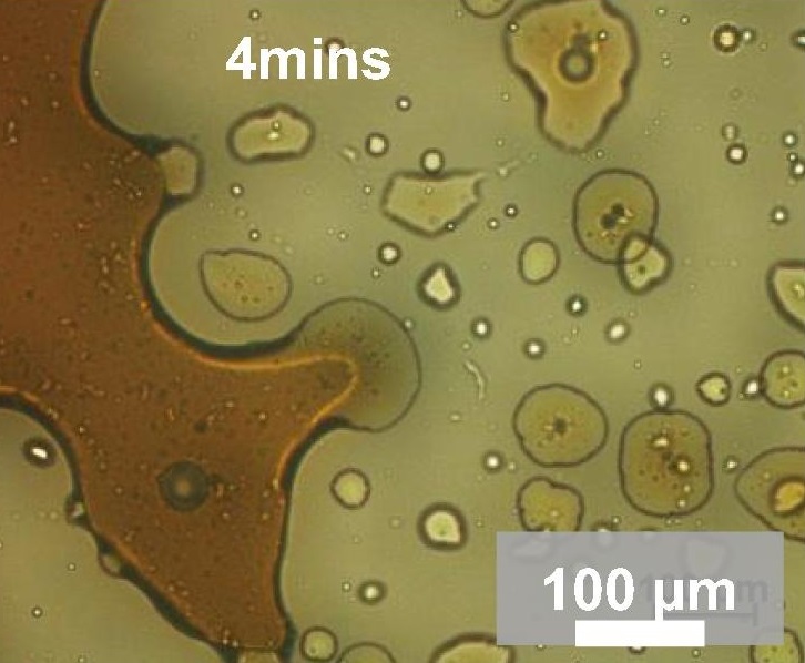 Dispersant graphic