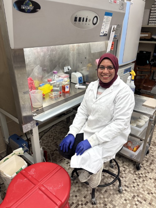Rabab Lab Image