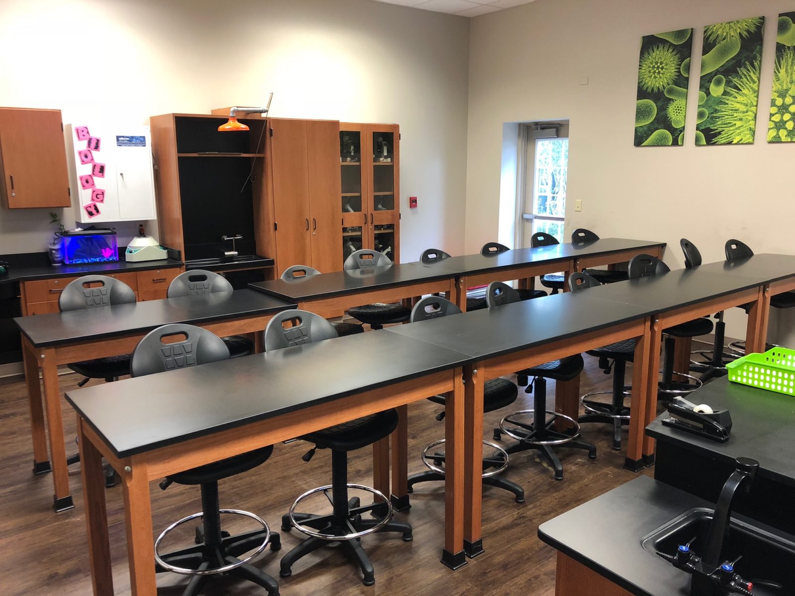 Shelby's Biology Lab Classroom Shelby's Biology Lab Classroom