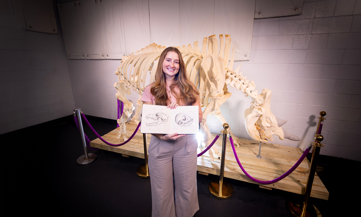 Meghan Wall holding a sketch of two dog skulls