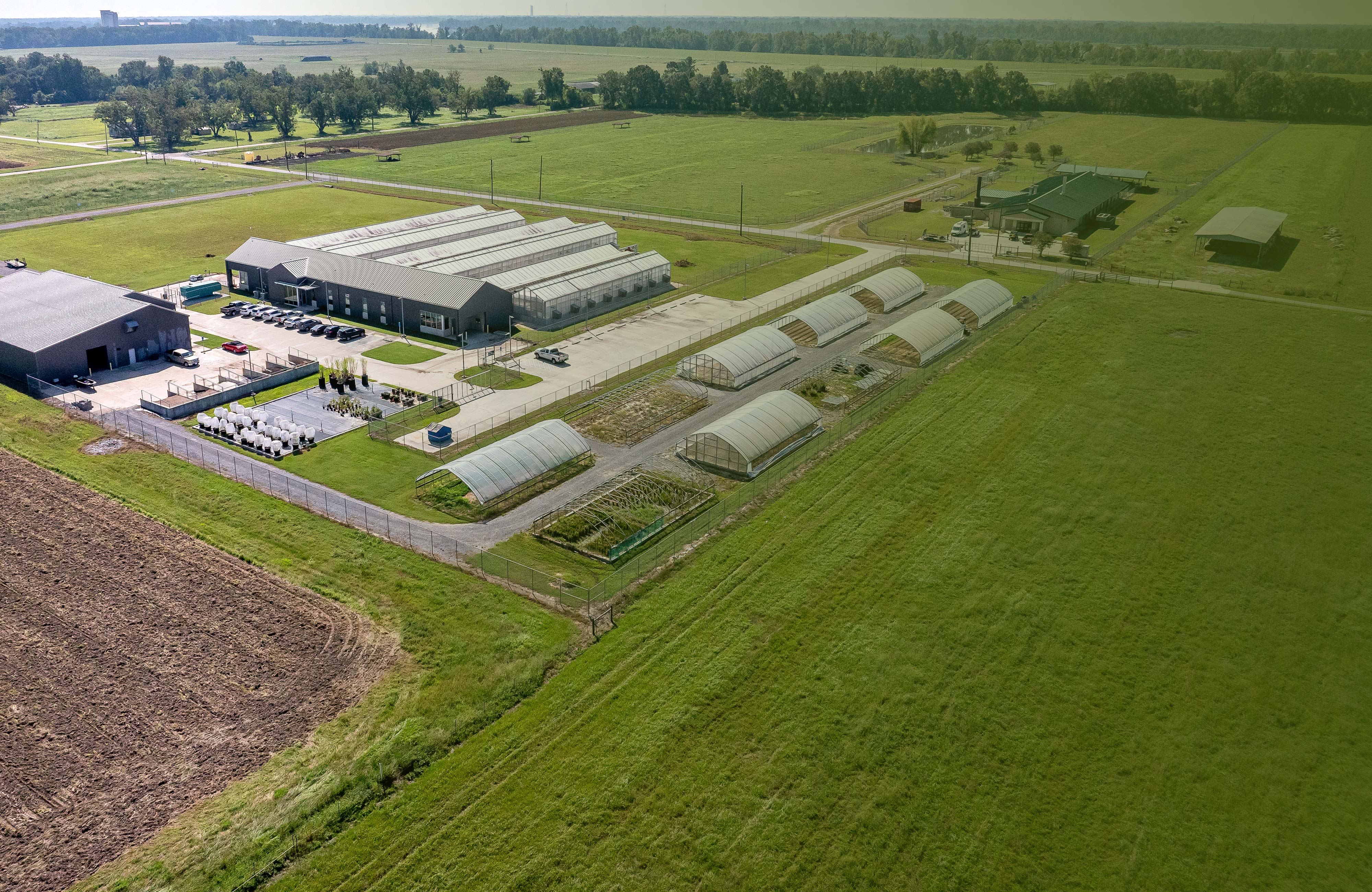 Rice Facility